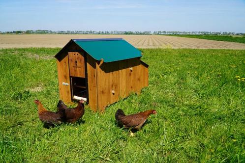 Trespa Kippenhok / Classic L - Cucciolotta, Dieren en Toebehoren, Pluimvee | Toebehoren, Nieuw, Kippenhok of Kippenren, Ophalen of Verzenden