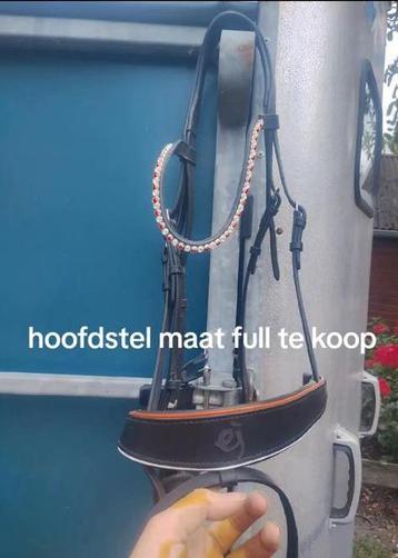 Hoofdstel maat full beschikbaar voor biedingen