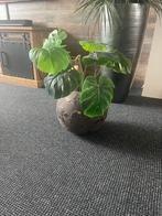 2 grote bloempotten zonder inhoud, Huis en Inrichting, Ophalen of Verzenden, Overige soorten, Minder dan 100 cm