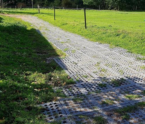 Mudcontrol - instant moddervrij - €3/m2 summerdeal, Dieren en Toebehoren, Paarden, Merrie, 0 tot 2 jaar