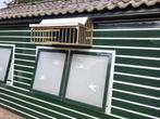 Postduiven, Dieren en Toebehoren, Meerdere dieren, Postduif