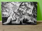 Poster tijger 60x90, Huis en Inrichting, Woonaccessoires | Schilderijen, Tekeningen en Foto's, Ophalen, 50 tot 75 cm, Zo goed als nieuw