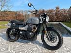 Truimph street scrambler 900, Motoren, Motoren | Triumph, 2 cilinders, 900 cc, Particulier, Meer dan 35 kW