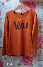 Longsleeve, Ophalen of Verzenden, Meisje, Shirt of Longsleeve