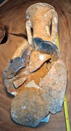 Antieke Amfora Fragmenten., Ophalen of Verzenden