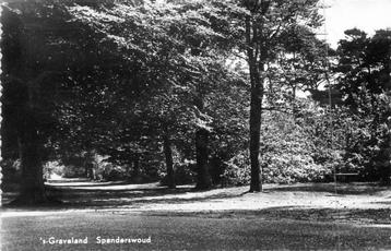 (381-062-025) Den Haag Spanderswoud beschikbaar voor biedingen