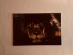 Glas Art Leeuw Wanddecoratie 120x80cm, Huis en Inrichting, Woonaccessoires | Schilderijen, Tekeningen en Foto's, Ophalen, 100 tot 125 cm