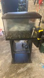Superfish 70l, Dieren en Toebehoren, Ophalen, Zo goed als nieuw, Leeg aquarium