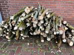 Partijtje haardhout brandhout kachelhout, Tuin en Terras, Haardhout, Minder dan 3 m³, Ophalen, Stammen
