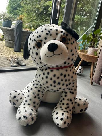 Grote hond 1 meter beschikbaar voor biedingen
