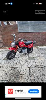 Jingcheng monky, Ophalen of Verzenden, Zo goed als nieuw, Overige modellen