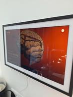 Amazon Echo show 15, Alexa, Fire tv, smart speaker, 15.6", Ophalen, Zo goed als nieuw