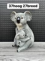 koala, Ophalen of Verzenden, Nieuw