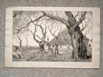 Texel litho, Ophalen of Verzenden, 1940 tot 1960, Zo goed als nieuw, Prent
