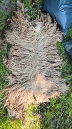 2 x Ruw skudde vachten, Dieren en Toebehoren, Schapen, Geiten en Varkens, Schaap