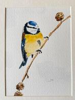 Aquarel koolmees, Ophalen of Verzenden