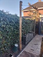 1x paal van kastanjehout rond 12 cm dik en 3.55 mtr lang, Ophalen, Zo goed als nieuw, 250 cm of meer, Palen
