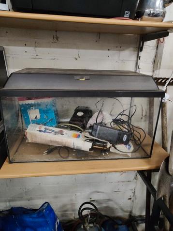 Aquarium met alle toebehoren beschikbaar voor biedingen