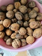 Betuwse walnoten !! Heerlijke walnoten, Ophalen