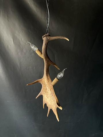 Geweienlamp.lamp.hanglamp.geweien.edelhert.damhert.brocante beschikbaar voor biedingen