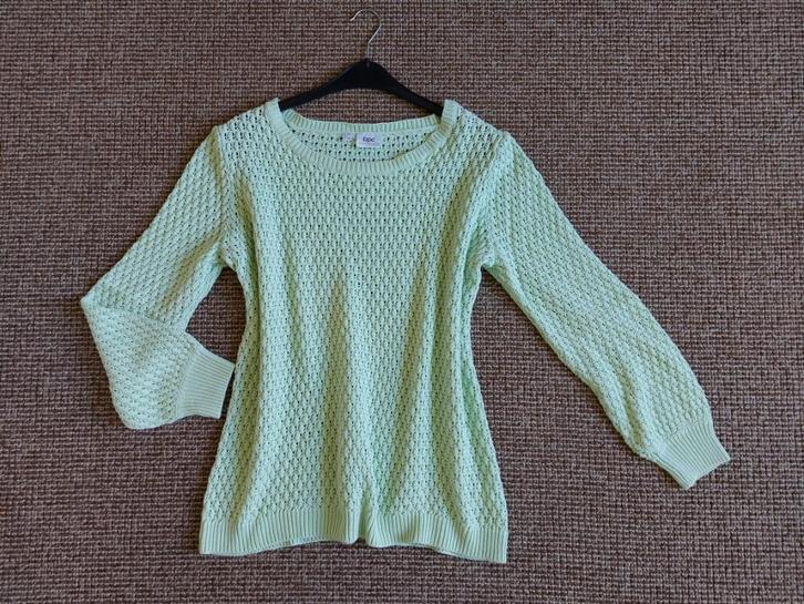 Trui 44/46 mintgroen, Kleding | Dames, Truien en Vesten, Gedragen, Maat 42/44 (L), Groen, Verzenden