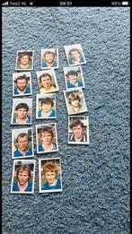 Fc Wageningen panini Vanderhout 1980-1981, Verzamelen, Spelerskaart, Ophalen of Verzenden, Zo goed als nieuw