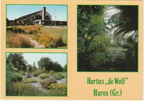 HAREN Hortus De Wolf, Verzamelen, Ansichtkaarten | Nederland, Gelopen, Groningen, 1980 tot heden, Verzenden