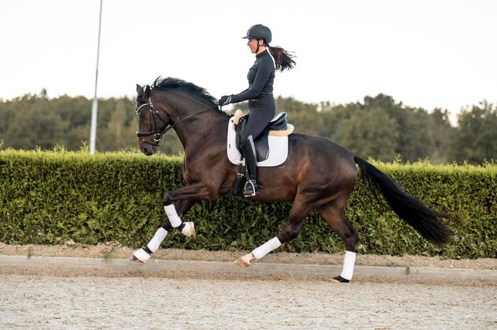 Enthousiaste instructie aangeboden, Diensten en Vakmensen, Dieren | Paarden | Verzorging, Oppas en Les