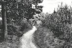 901749	Ermelo	Boschpad	Gld 1941	Gelopen met postzegel, Verzamelen, Ansichtkaarten | Nederland, Ophalen of Verzenden, 1940 tot 1960