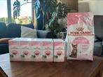 Royal canin kitten sterilised 5x12 nat + 2x3,5kg droogvoer, Dieren en Toebehoren, Ophalen of Verzenden, Kat