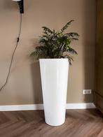 Art en Vogue Plantenbak / Vaas Claire wit H90cm, Tuin en Terras, Bloembakken en Plantenbakken, Ophalen, Kunststof, Gebruikt, Binnen