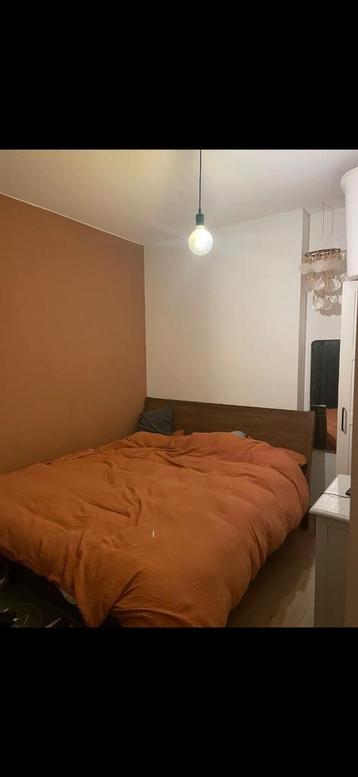 Bed hout met hoofdbord