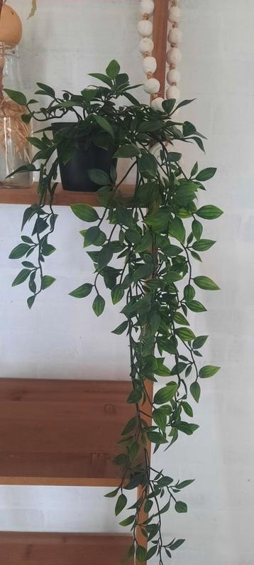 Kunst hangplant in pot beschikbaar voor biedingen