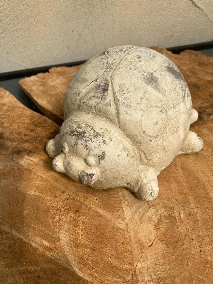 LIEVEHEERSBEESTJE STEEN Nieuw, Tuin en Terras, Tuinbeelden, Nieuw, Dierenbeeld, Beton, Ophalen of Verzenden