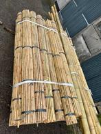 Bonenstokken tonkin bamboestok plantensteun, Ophalen of Verzenden, Nieuw, Overige typen