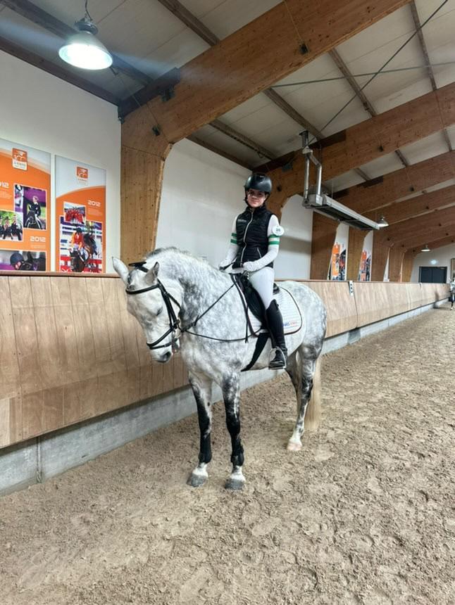 verzorgpony gezocht / verzorgste aangeboden, Dieren en Toebehoren, Paarden en Pony's | Verzorgingsproducten, Nieuw, Ophalen of Verzenden