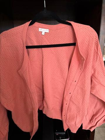 Nieuwe Vest - Maat 152 beschikbaar voor biedingen