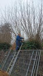Tuinman aangeboden, Tuinonderhoud of Snoeiwerk
