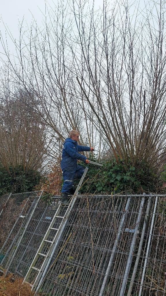 Tuin en Huisman aangeboden, Diensten en Vakmensen, Tuinmannen en Stratenmakers, Tuinonderhoud of Snoeiwerk