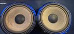 Woofers/drivers visaton w 250ng, Overige merken, Gebruikt, Overige typen, Ophalen of Verzenden