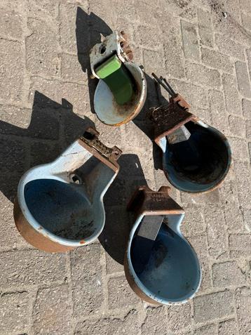 Koeien drinkbakken - brouwers beschikbaar voor biedingen