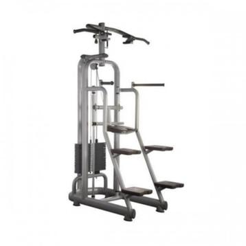  Technogym Chin Dip Assist - Selection Line | Topconditie! beschikbaar voor biedingen