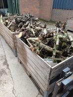 Kersenhout openhaardhout, Tuin en Terras, Haardhout, Minder dan 3 m³, Ophalen of Verzenden, Overige houtsoorten, Blokken