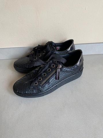 DLSPORT SNEAKERS MT:37 NIEUWSTAAT beschikbaar voor biedingen