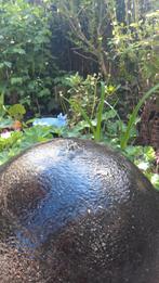 Waterbol 30 cm, Ophalen