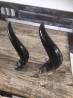 Zeer grote Hoorn stier bull, Ophalen of Verzenden