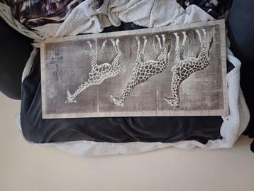 Canvas Giraffe's, zie foto's  beschikbaar voor biedingen