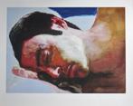 Zeefdruk The Dreamer van Hans Bruijneel, Antiek en Kunst, Kunst | Litho's en Zeefdrukken, Ophalen of Verzenden