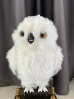 Uil hedwig uit harry potter, Verzamelen, Harry Potter, Ophalen, Zo goed als nieuw, Overige typen