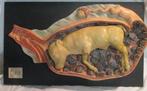 oud gipsen anatomisch model kalfje in baarmoeder Somso, Ophalen